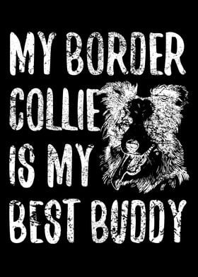 Border Collie Enthusiast