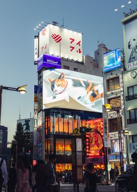 Tokyo Japan Neko Billboard