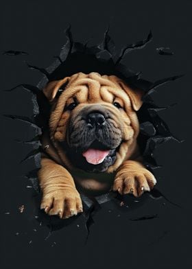 Chinese Shar Pei