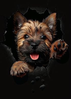 Cairn Terrier Dog