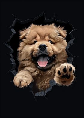 Chow Chow