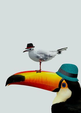 Tucan with bird