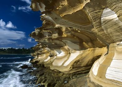 Maria Island Tasmania