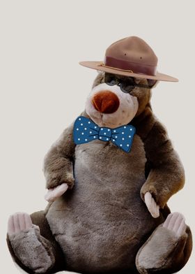 Bear with ranger hat