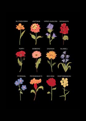 Various Kinds of Flowers