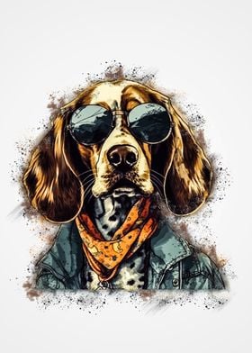 Dog with shirt and glasses
