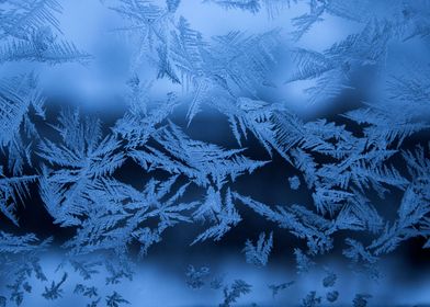 snowflakes on a window