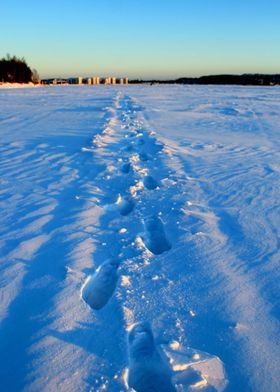 Footsteps in the snow