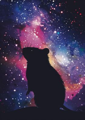 Rat Silhouette Galaxy