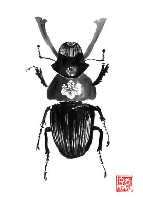 samurai beetle