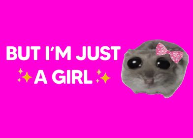 Im just agirl hamster heme