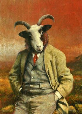 Jacob Sheep Gentleman