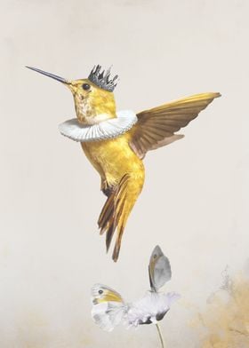 Royal Hummingbird Light