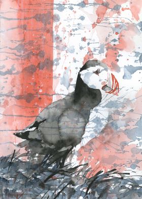 Iceland puffin painting