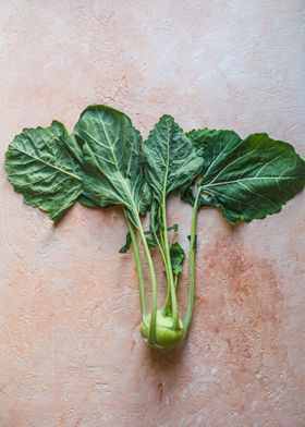 Kohlrabi