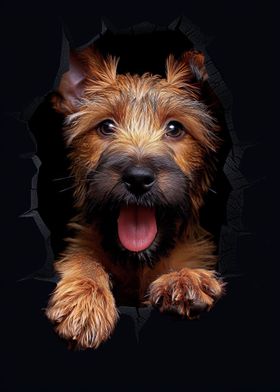 Irish Terrier