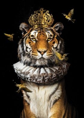 Royal Tiger