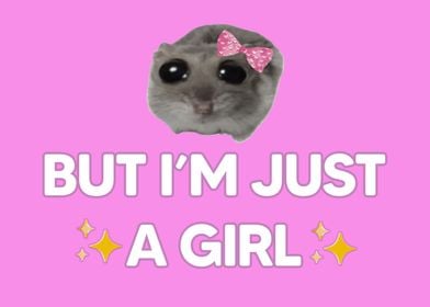 Im just a girl meme