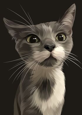 Elegant Grey White Cat
