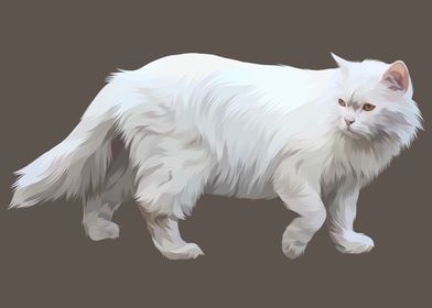 Cute White Cat Walking
