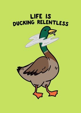 goose humor duck honk