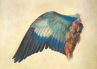 Wing of a European Roller