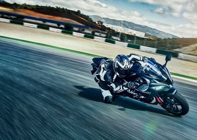 Kawasaki Ninja ZX10R Wint