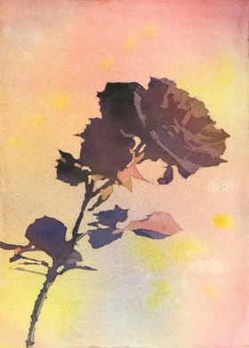 Red rose watercolor art