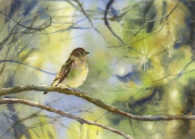 Watercolor bird outdoors
