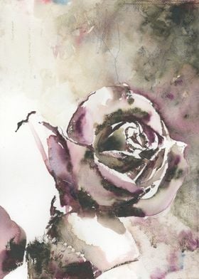 White rose floral artwork