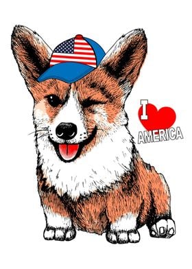 Corgi with American flag