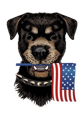 Dog with American flag