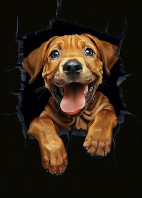 Rhodesian Ridgeback