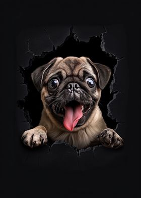 Pug Dog