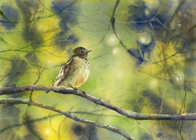 Songbird landscape art