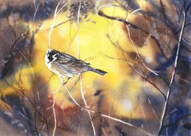 Sparrow watercolor art