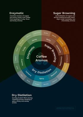 coffe aromas info graphic