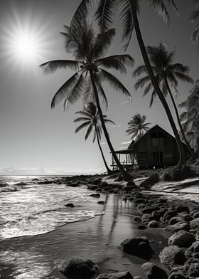 tropical beach with palms