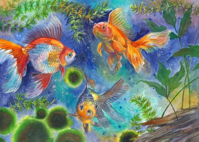 Colorful Goldfish Aquarium