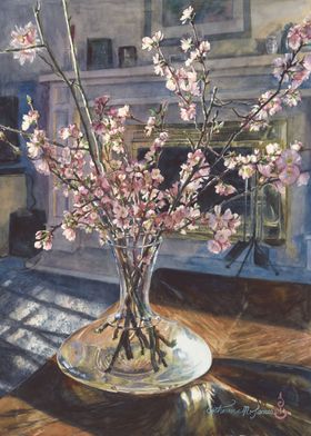 Cherry Blossoms in Vase