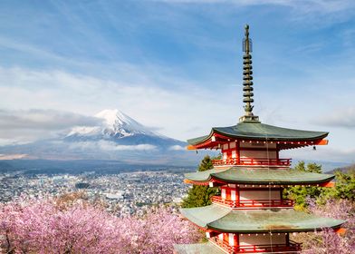 Mount Fuji Cherry Blossom 