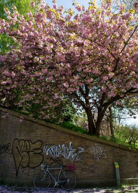 blossom tree graffity wall