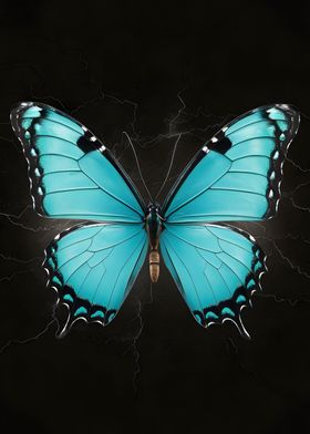 Blue butterfly 