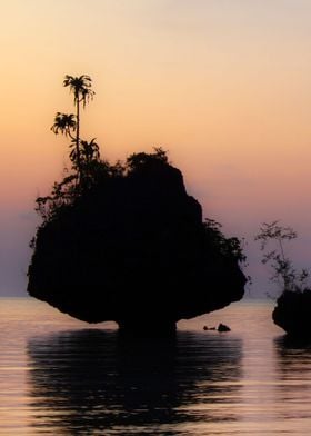 colorful sunset silhouette