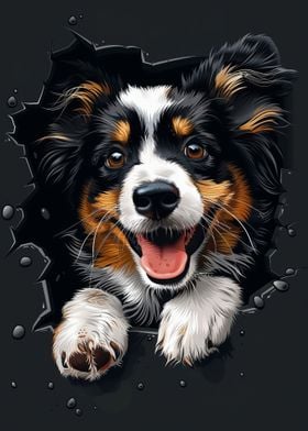 Shetland Sheepdog