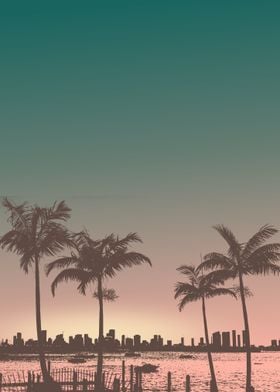 palm in sunset