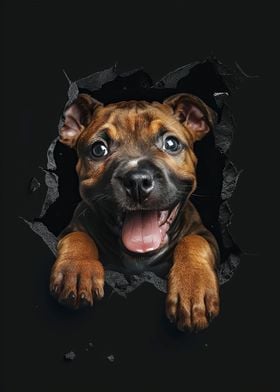 Staffordshire Bull Terrier