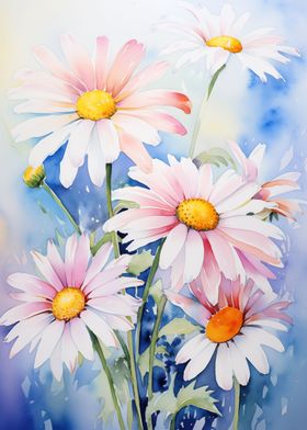 Daisies 