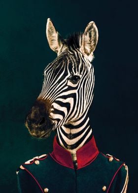 Military Zebra