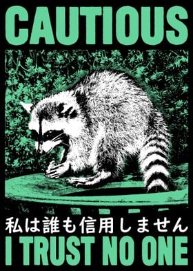 Cautious Raccoon